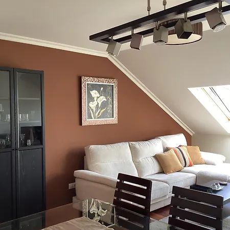 Rego De Flores Viveiro