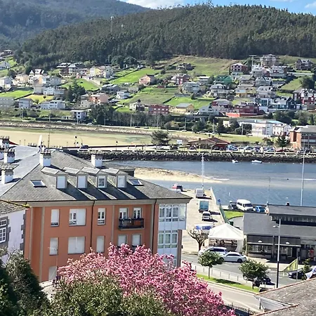 Rego De Flores Viveiro