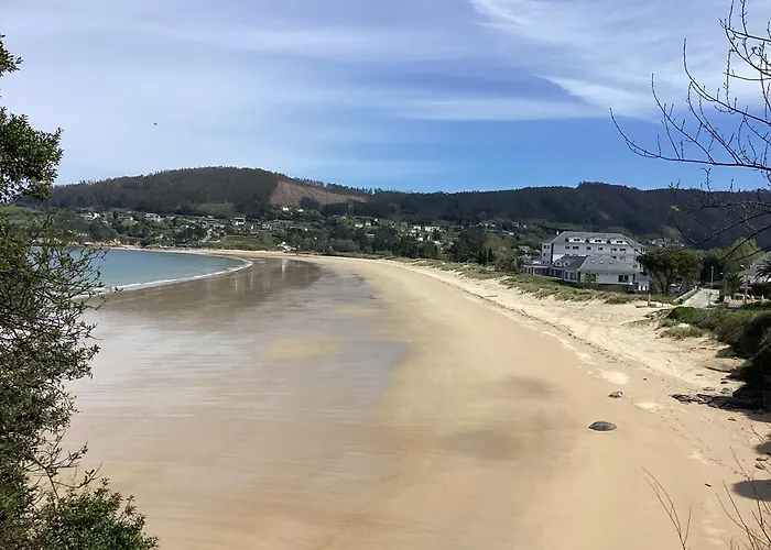 Rego De Flores Viveiro