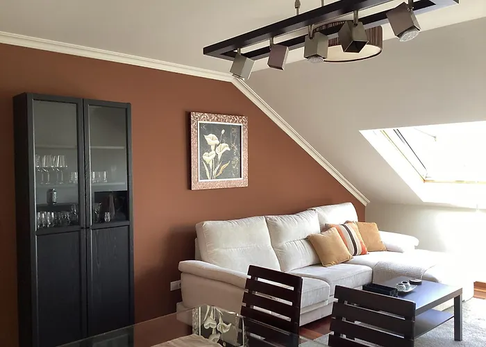 Rego De Flores Viveiro