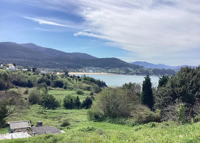 Rego De Flores Daire Viveiro