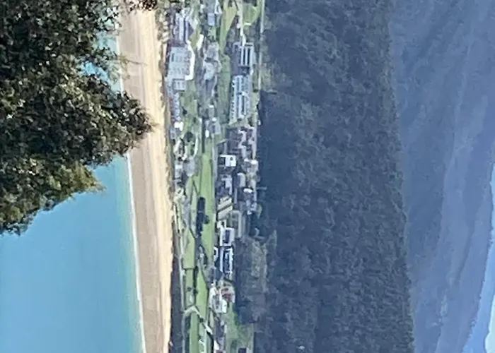 Daire Rego De Flores