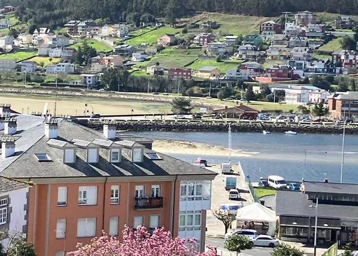 Rego De Flores Viveiro